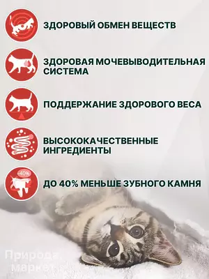 Сухой корм Purina One для стерилизованных кошек и кастрированных котов, говядина, 3 кг
