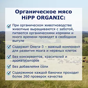 Пюре Hipp с 1 года, нежные овощи с индейкой, 190 г